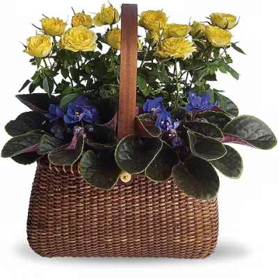 Yellow roses and purple violets in a woven basket planter
