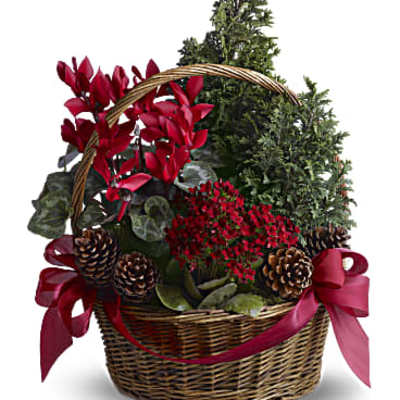 Tannenbaum Basket