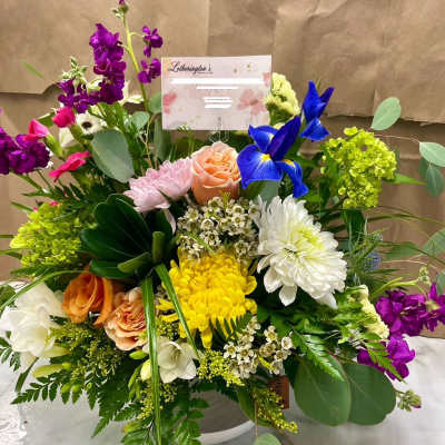 Brilliance by Lotherington's