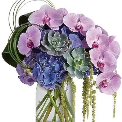 Pink orchids and blue hydrangeas in a glass vase with succulents
