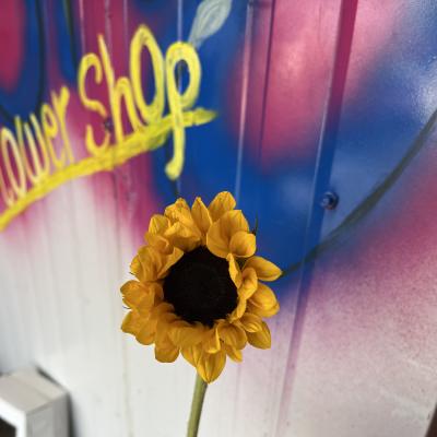 Single yellow sunflower held by hand