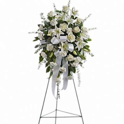 Sentiments of Serenity Spray