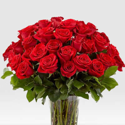 36 Red Rose's in a vase (NO BABY BREATH)