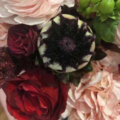 Close-up bouquet of pale pink and red flowers with a dark center bloom