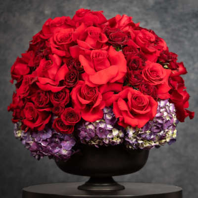 Red roses arranged in a black pedestal vase with purple hydrangeas
