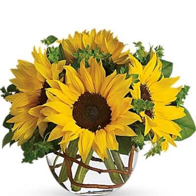 Sunflower arrangement in a clear glass vase