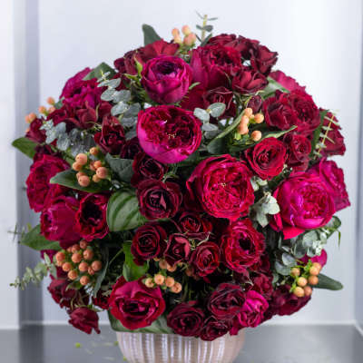 Bouquet of deep pink and burgundy roses in a white vase