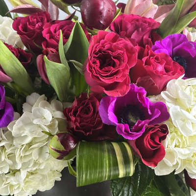 Bouquet of red roses, purple anemones, and white hydrangeas in a black vase