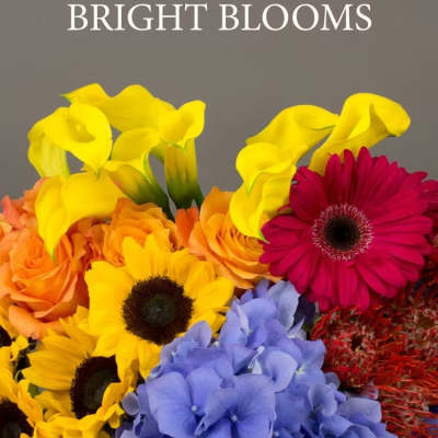 Designer's Choice Bright Blooms