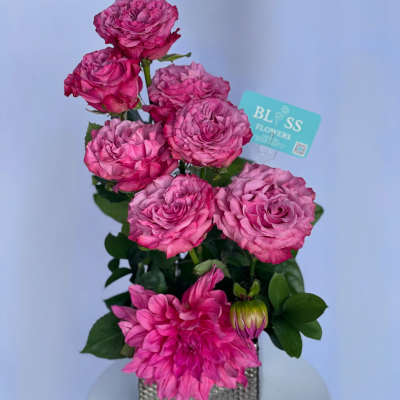 Pink roses and a pink dahlia in a square silver vase