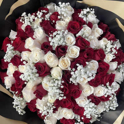 Bouquet of red and white roses with baby's breath in black wrap