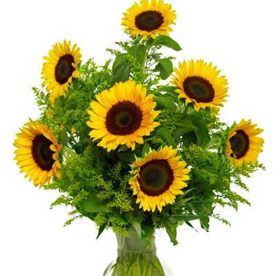 Snazzy Sunflowers