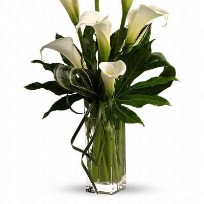 White calla lilies arranged in a clear glass vase