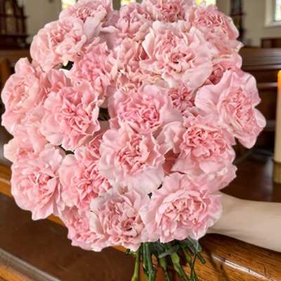 Ministry: Bulk Carnations for Services & Mother’s Day