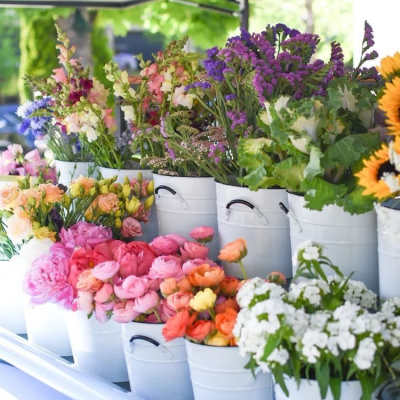 Buckets of colorful cut flowers arranged on a market display