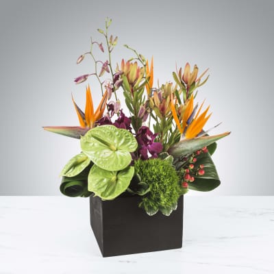 Tropical arrangement with orange blooms, green anthurium, and purple orchids in a black cube vase
