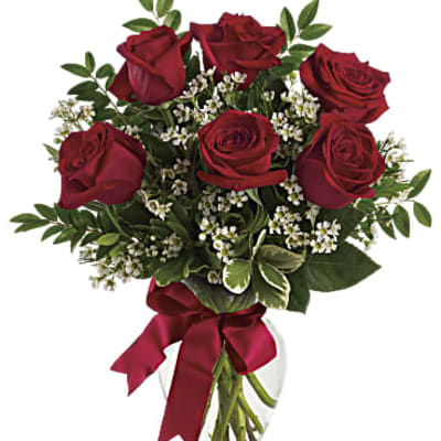 Thoughts of You Bouquet with 6 Red Roses