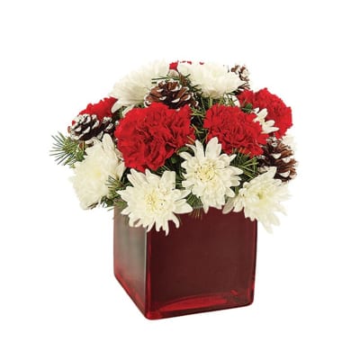 Red and white flowers arranged in a red glass vase