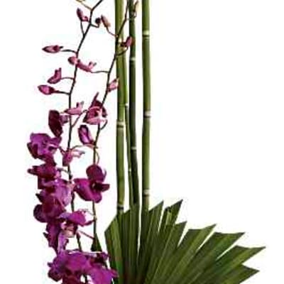 Tall floral arrangement with purple orchids and bamboo in a wooden base