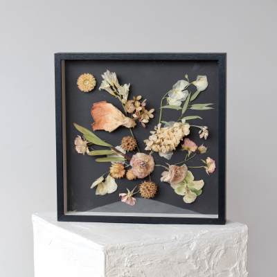 Framed pressed flowers arranged on a black background