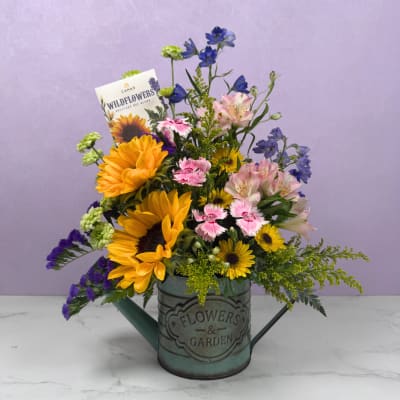 Among The Wildflowers