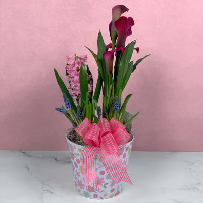 Springtime Serenade Dish Garden