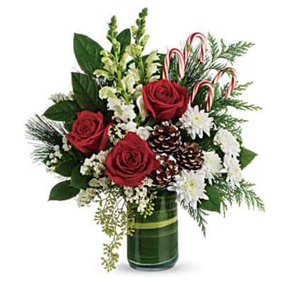 Teleflora's Festive Pines Bouquet