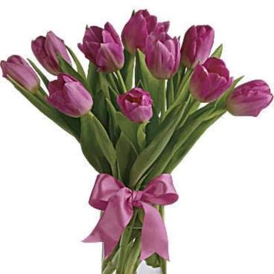 Precious Pink Tulips