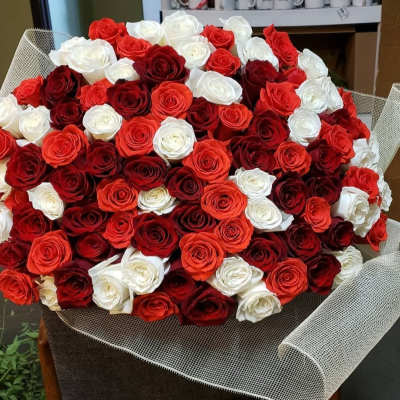 Large bouquet of red and white roses wrapped in mesh paper