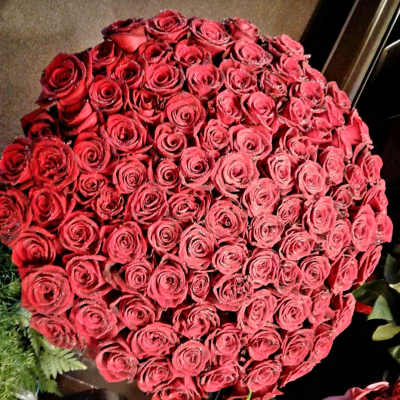 Large round bouquet of red roses