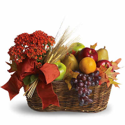 Autumn fruit basket with red flowers and a large ribbon