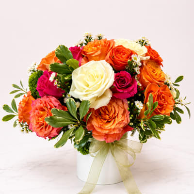 Radiant Bloom Garden