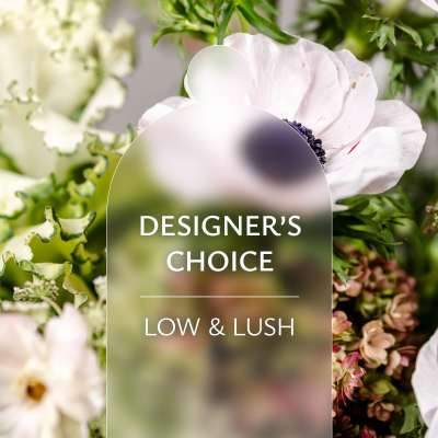 Designers Choice: Low & Lush