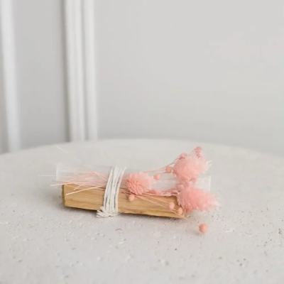 Palo Santo Stick + Selenite