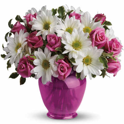 Pink Daisy Delight (vase color may vary)