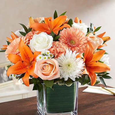 Healing Tears Peach Orange & White