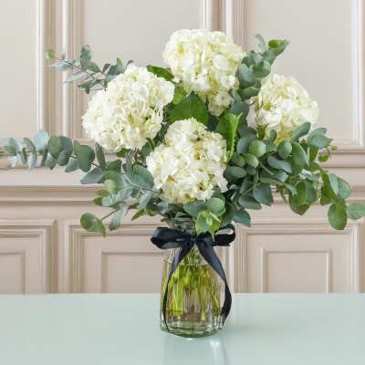 White hydrangeas in a glass vase with a black ribbon