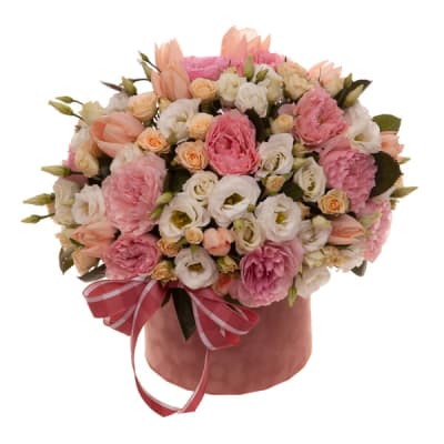 Composition "Perfect Music"