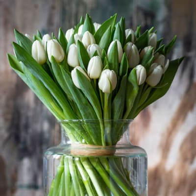 White tulips in a clear glass vase filled with water