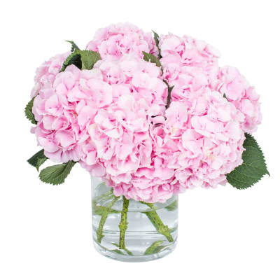 Light Pink Hydrangea Bouquet