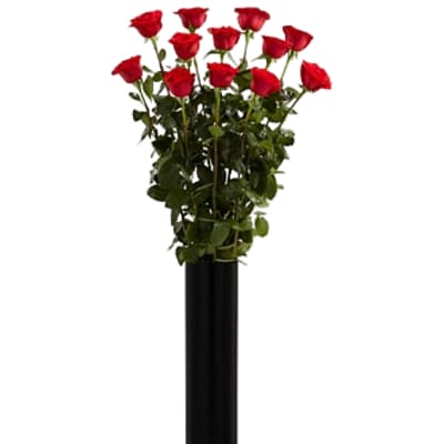 Extra Long Stemmed Red Rose
