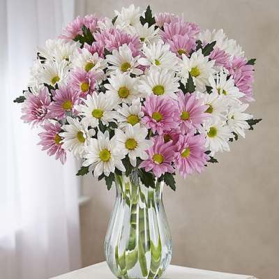 Lovely Daisy Bouquet