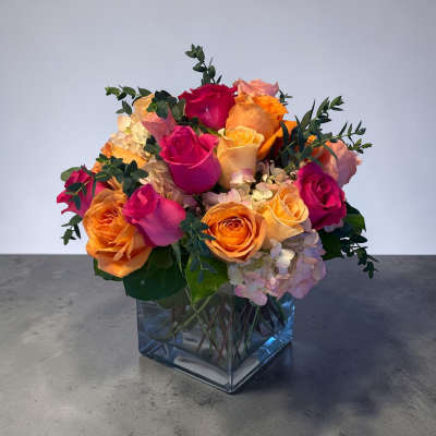 Petal Perfection’s Life’s Lush