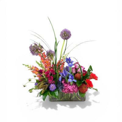 Marybeth’s Garden Day Dream