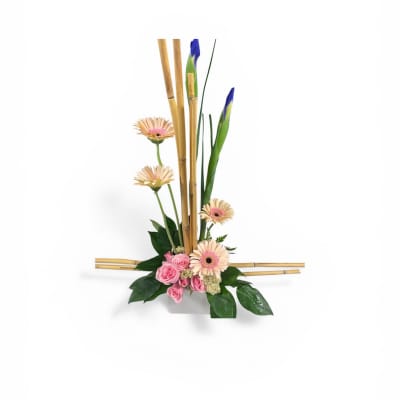 Daisy Dalliance by Petal Perfection