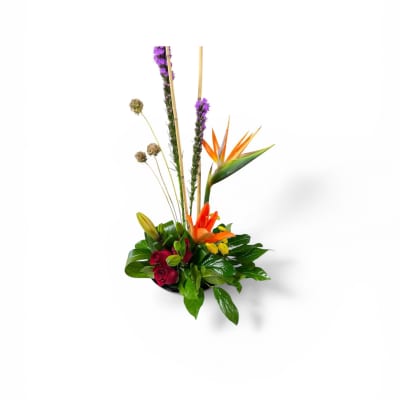 Petal Perfection’s Tropical Delight