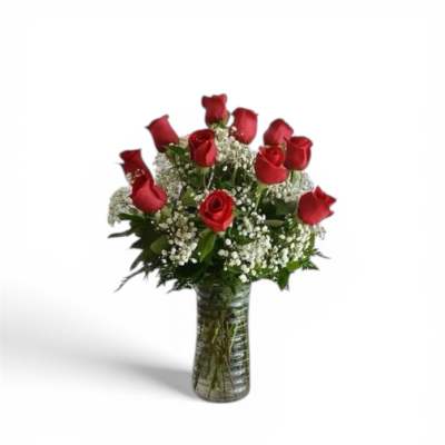 One Dozen Red Velvet Roses with Babies Breath