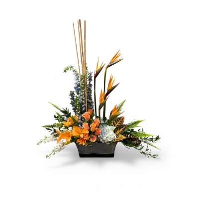 A Touch of the Tropics