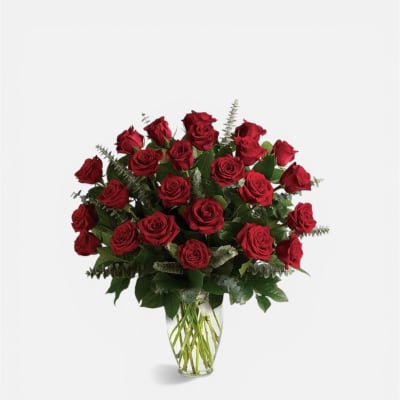 Two Dozen Luxurious Red Velvet Ecuadorian Roses