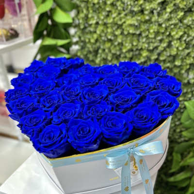 Heart-shaped box of vivid blue roses with a ribbon on a white pedestal